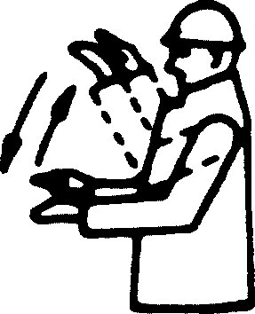 92/58/EEC — figure 57